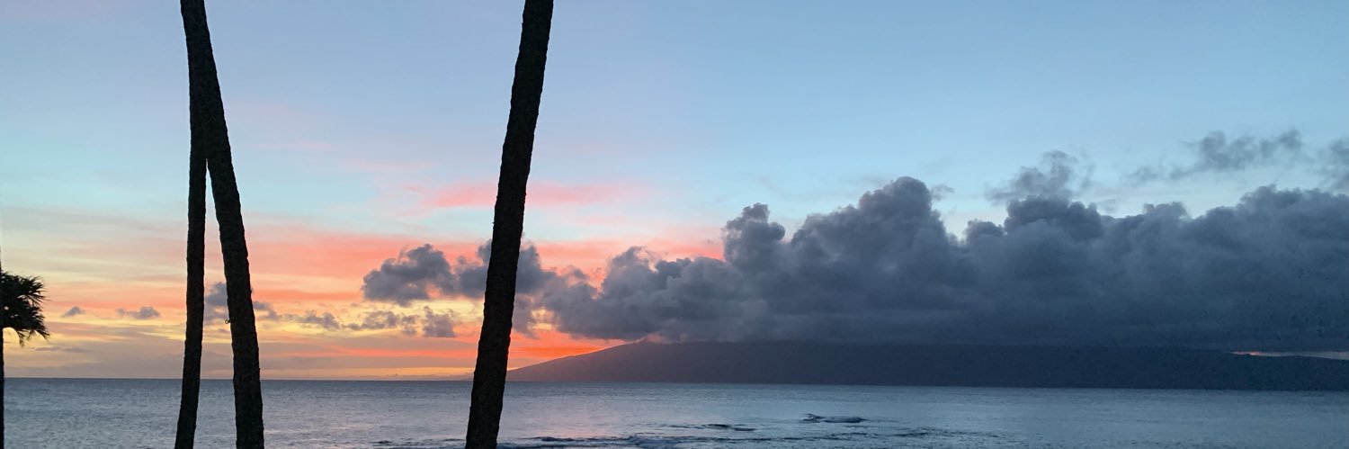 Ellen Havlicek banner