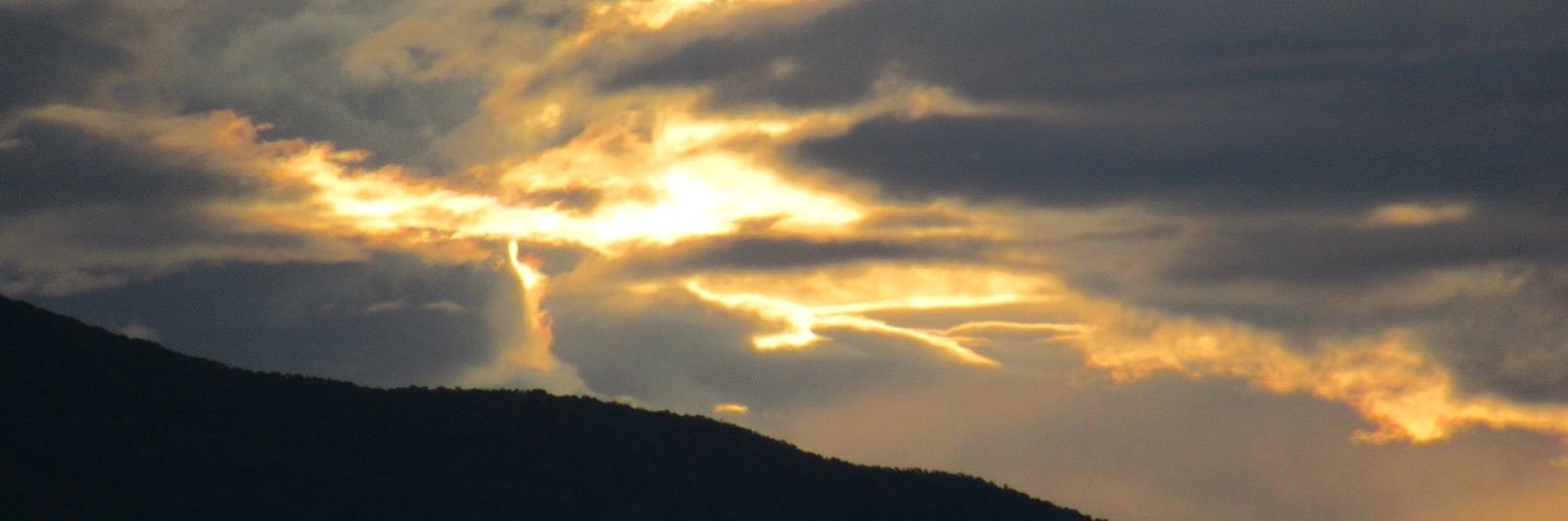 reet339's profile banner image