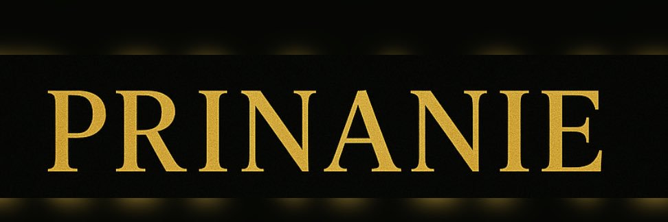 PrinanieHair's profile banner image