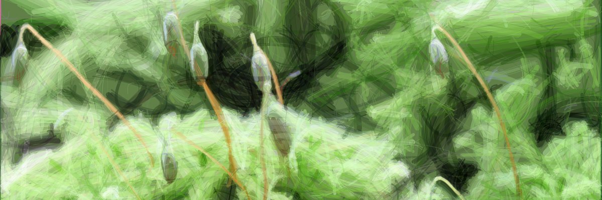 Annals of Botany's banner