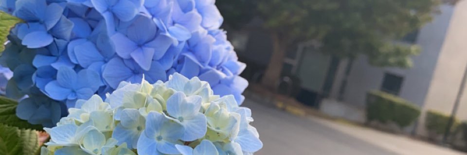 Panamawma's profile banner image