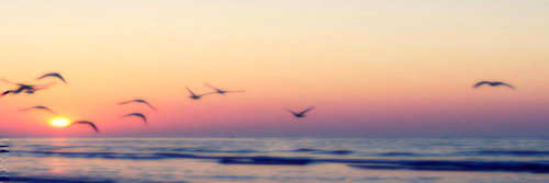 LuanaRosso2's profile banner image