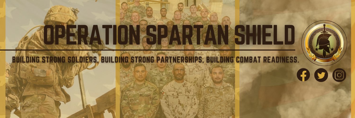 Task Force Spartan banner