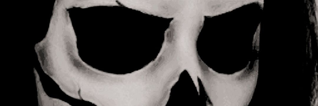 ivysbloom's profile banner image
