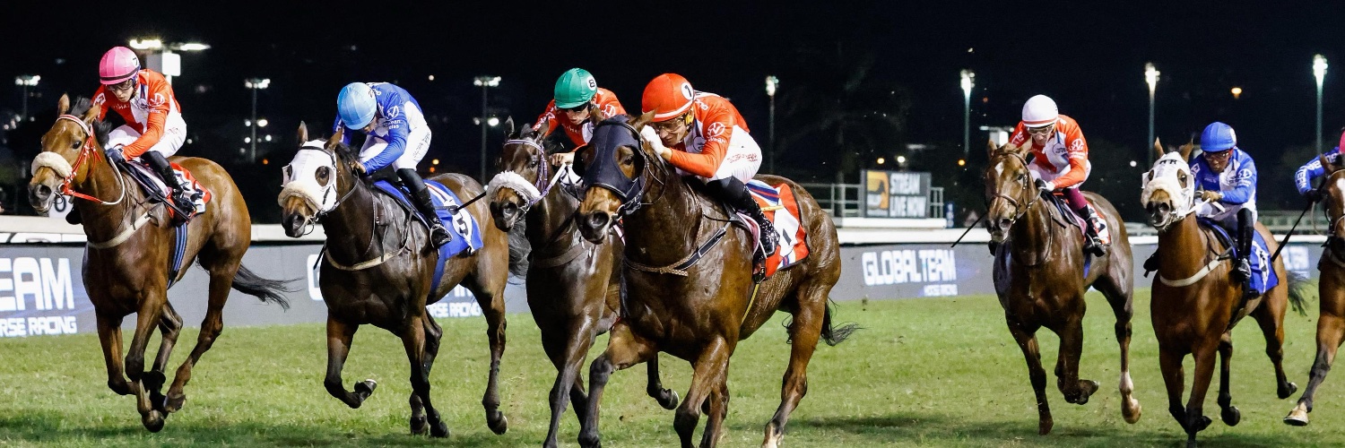 FourLegsRacing's profile banner image