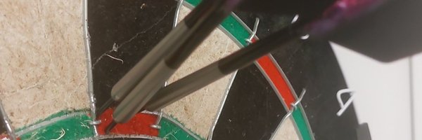 DartingMiscount Profile Banner