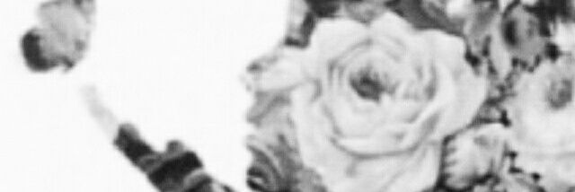 xdou3's profile banner image