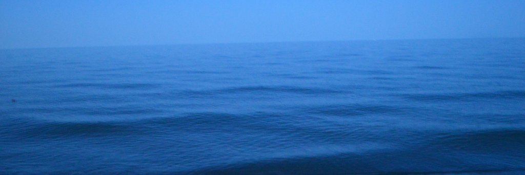 jodicary's profile banner image