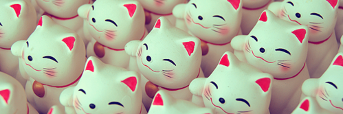 gilenzo's profile banner image