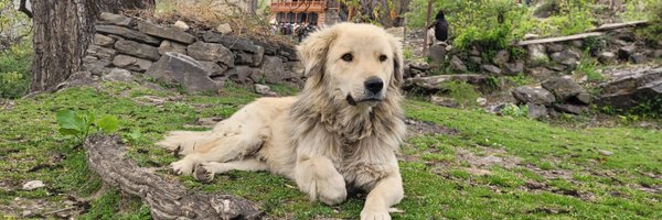 lakshmi_athira Profile Banner