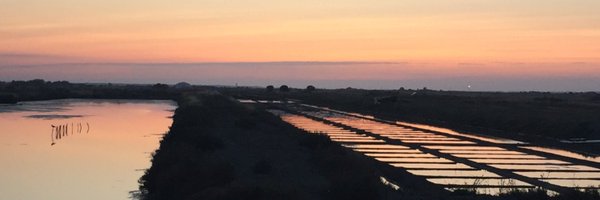 AlbigesL Profile Banner