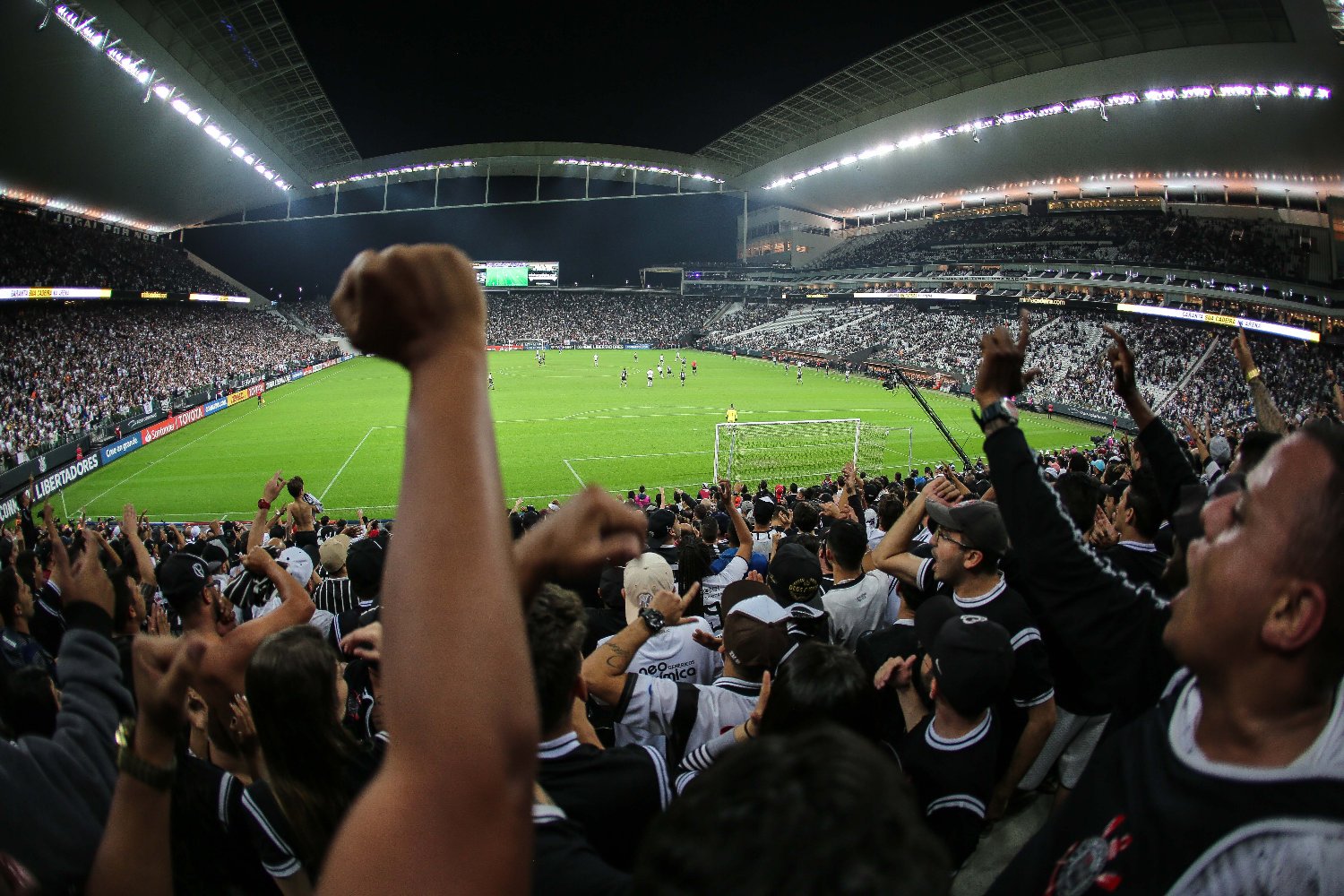 Rogério Rodrigues banner