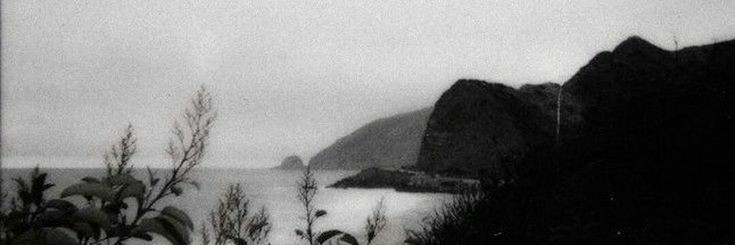 cassy banner