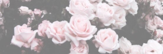 Sarah_E_Christi's profile banner image