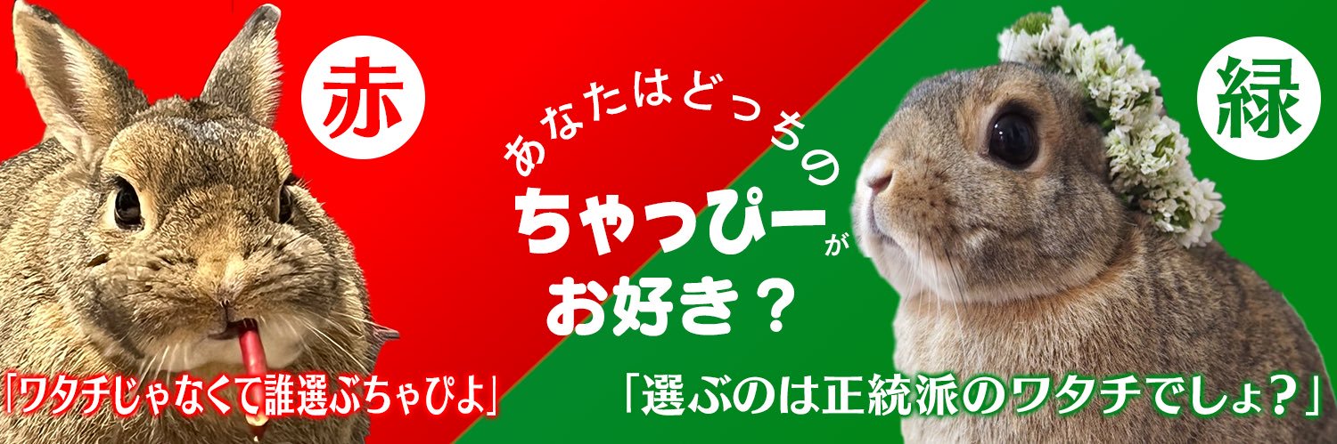 うさぎのちゃっぴー banner