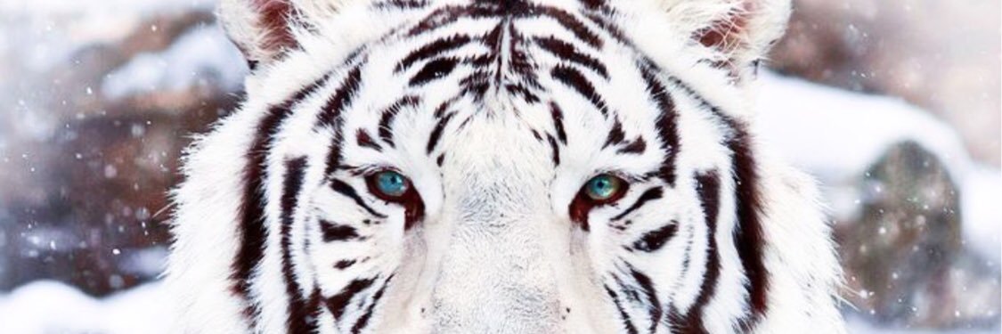 Karlssoon17's profile banner image