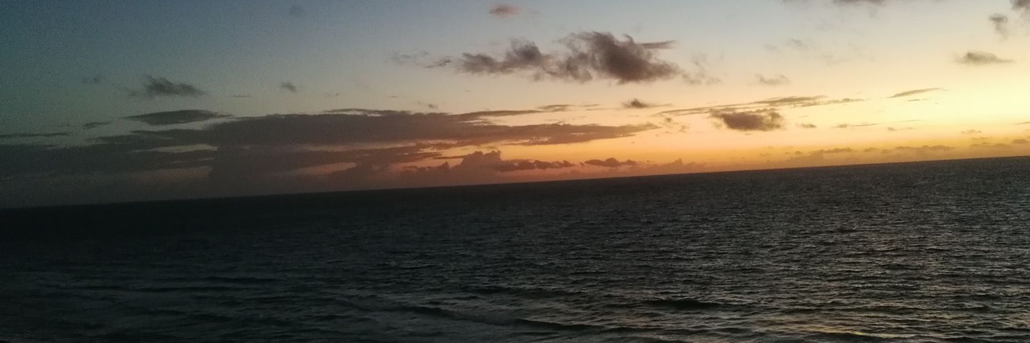lourdEscurra's profile banner image