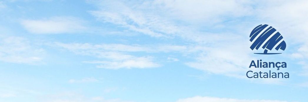David Bove banner