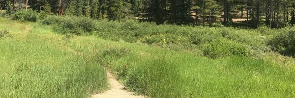 kateinnate Profile Banner