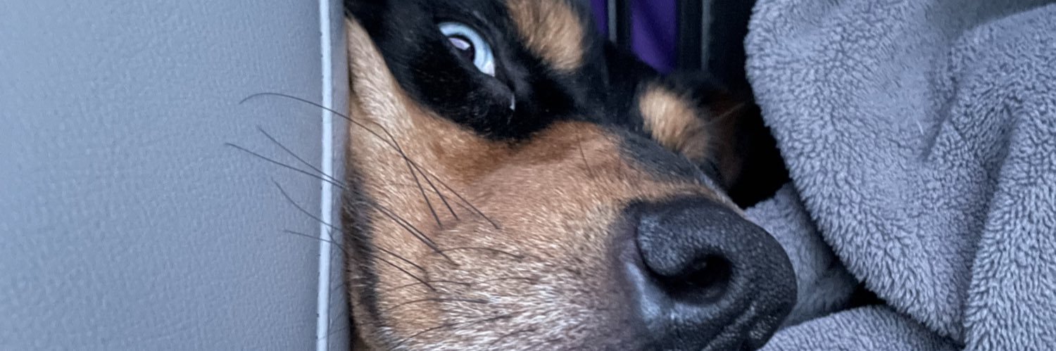TYLERSTEFFENMA's profile banner image
