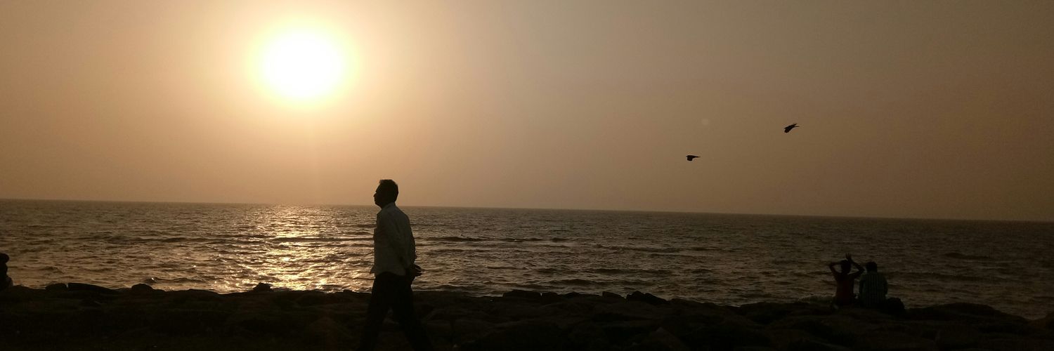 Riapalav's profile banner image