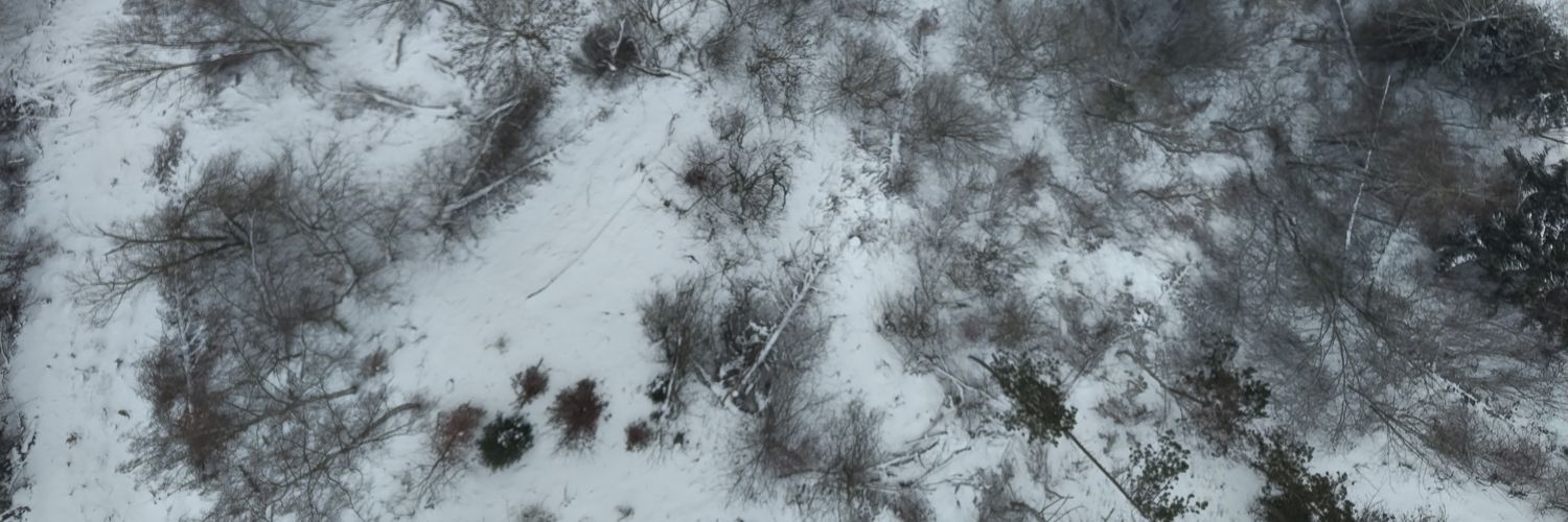 bavanmendon's profile banner image
