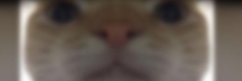 gemmissin's profile banner image