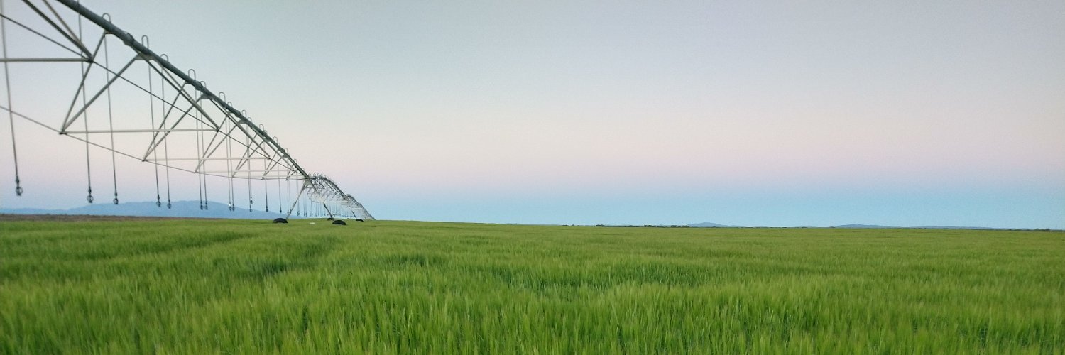 Alejandro Cadile banner