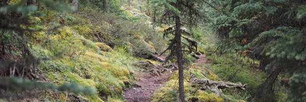 dbader_org Profile Banner