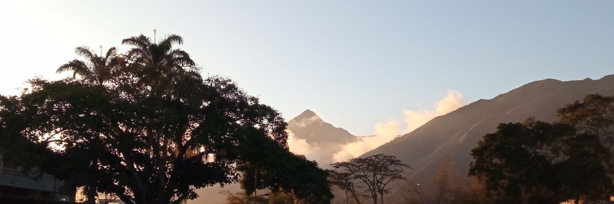 Gatosabio's profile banner image