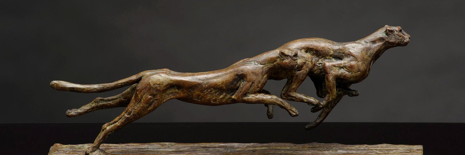 AnimalArtFair's profile banner image