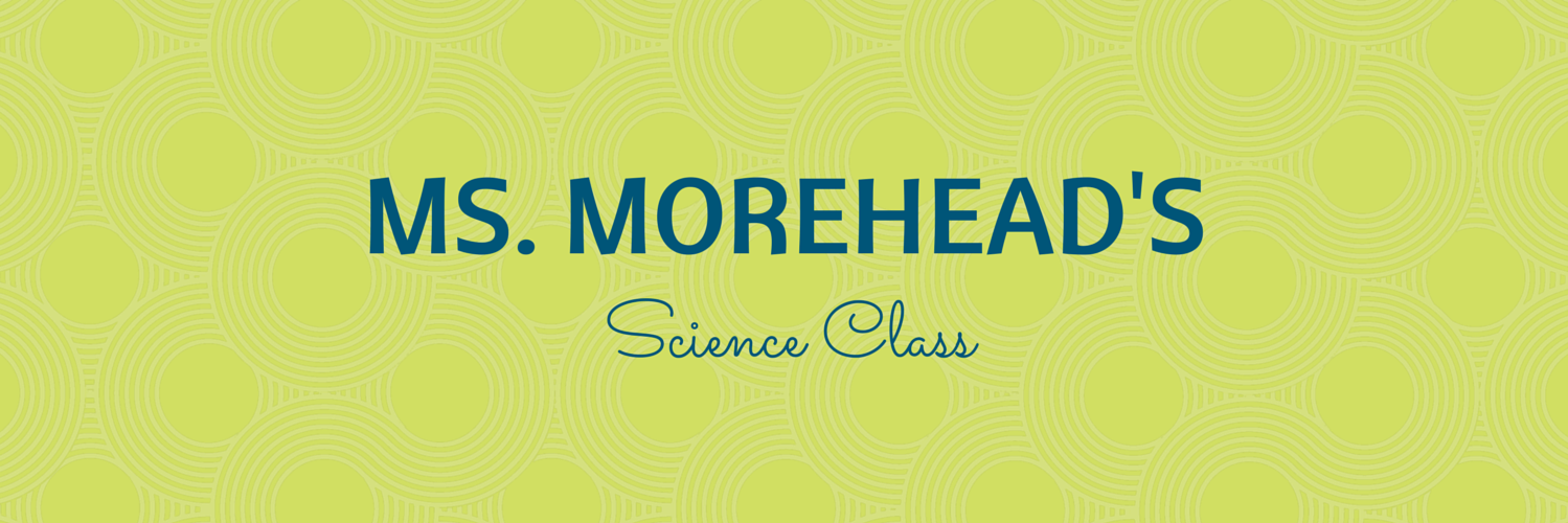 msmscienceclass's profile banner image