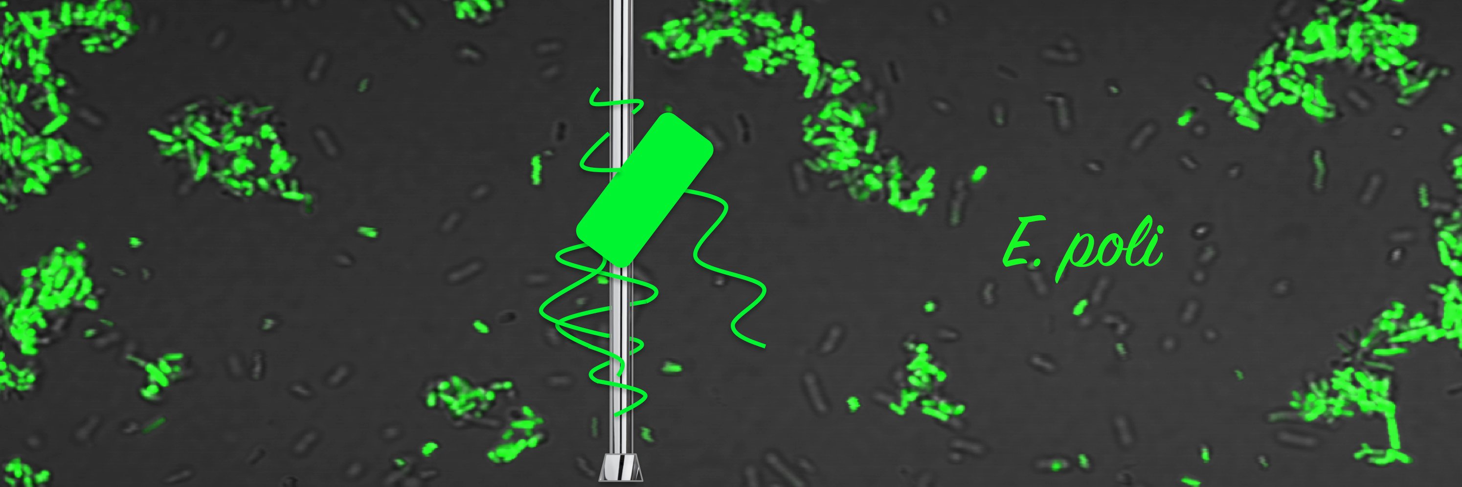 ChelseaRLloyd's profile banner image