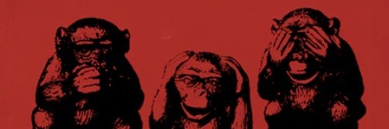fredeycs's profile banner image