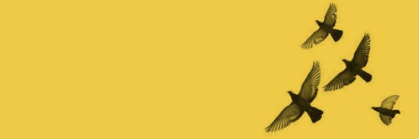 mrooj_Yasser's profile banner image