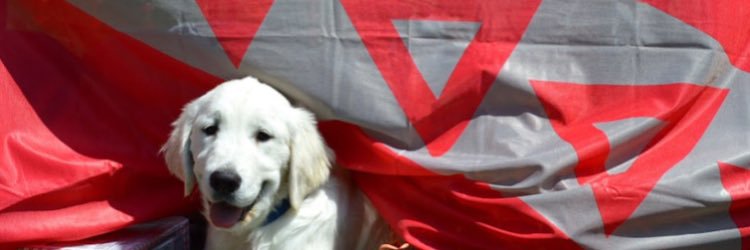 JMU TKE banner
