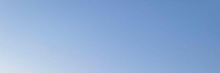 َ✏️ . . . 오늘 신유는 뭘 하고 있을까? banner