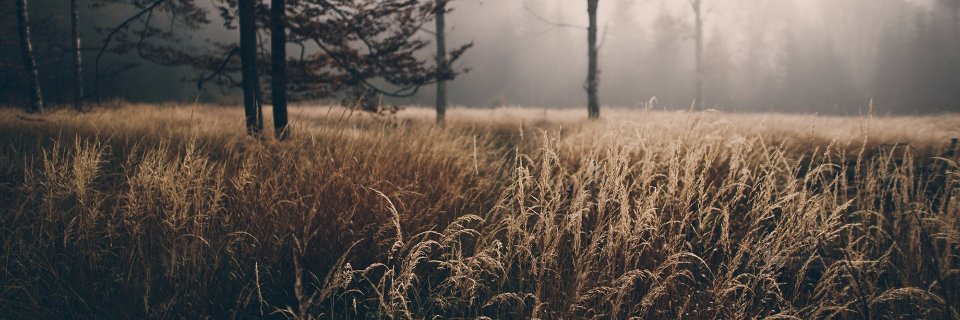 Joey Landsem banner
