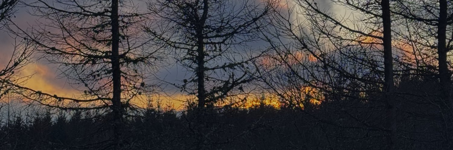 S.🖤 banner