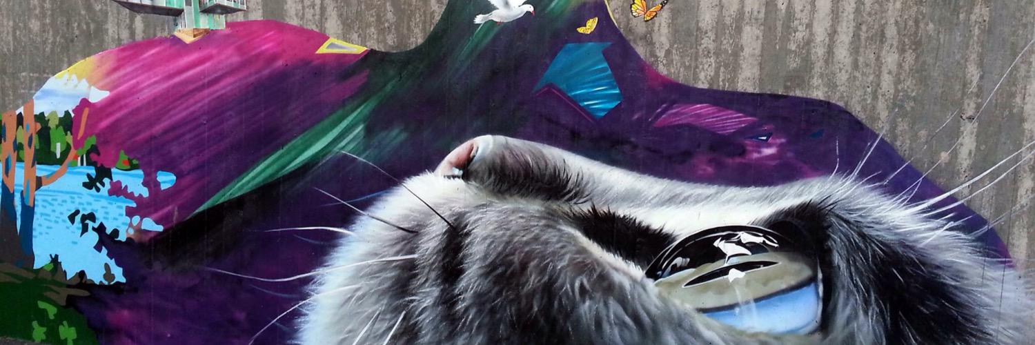 Odanguito's profile banner image