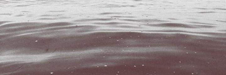 robinmalley's profile banner image