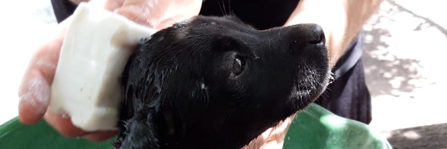 Rogerthecat22's profile banner image