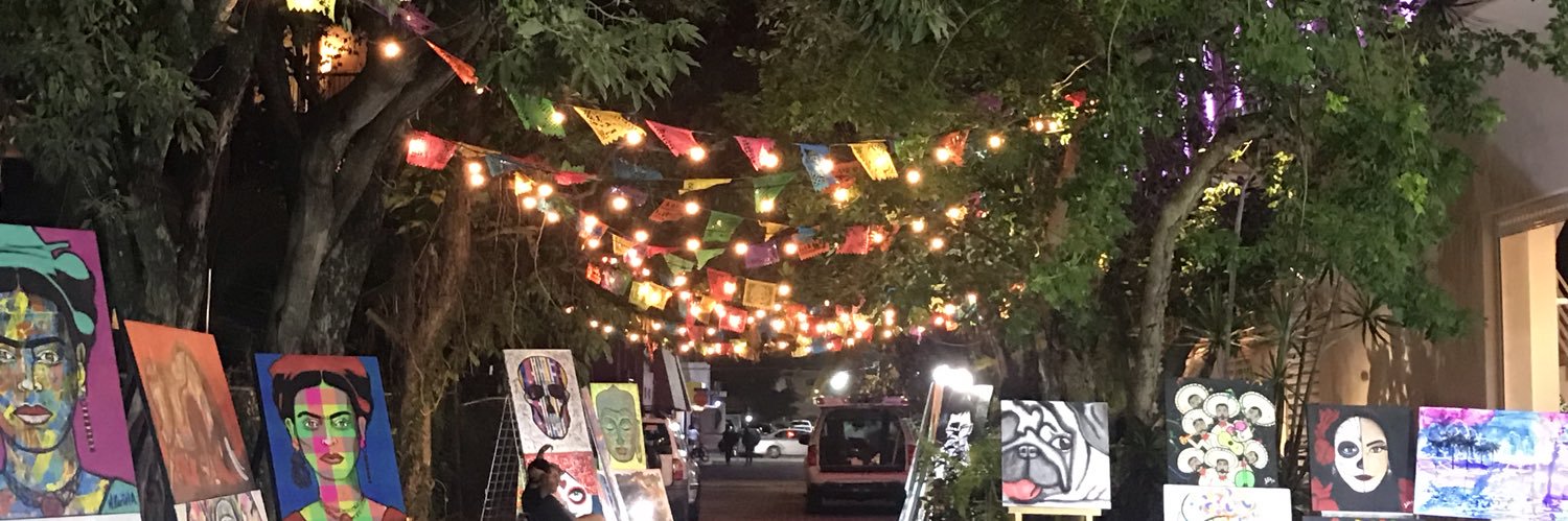 Ashlea Atkinson banner