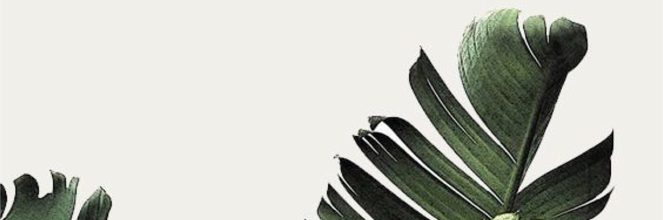 𝐅𝐢𝐧𝐢 banner