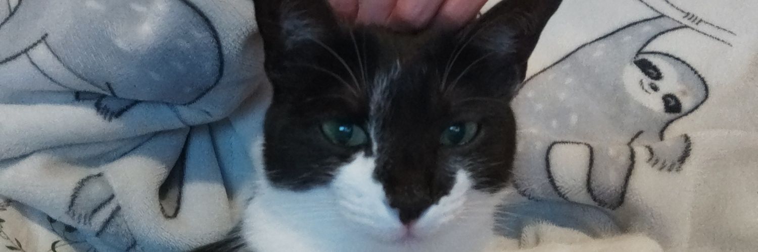 🐱Cat-Vampire 🦇 banner