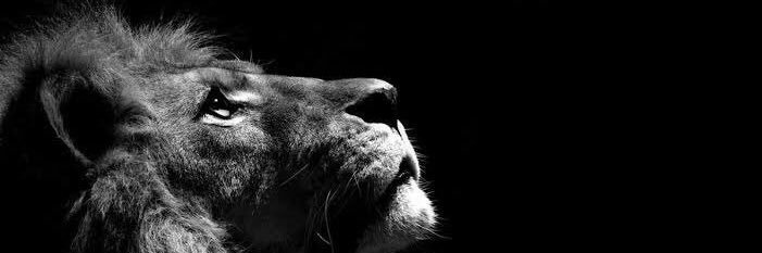 jukowe's profile banner image