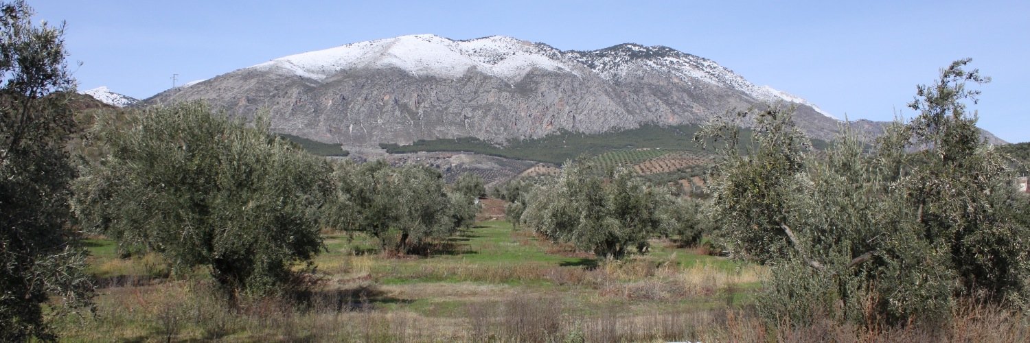 carmonego's profile banner image
