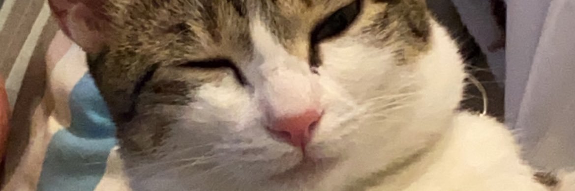 last_kid's profile banner image
