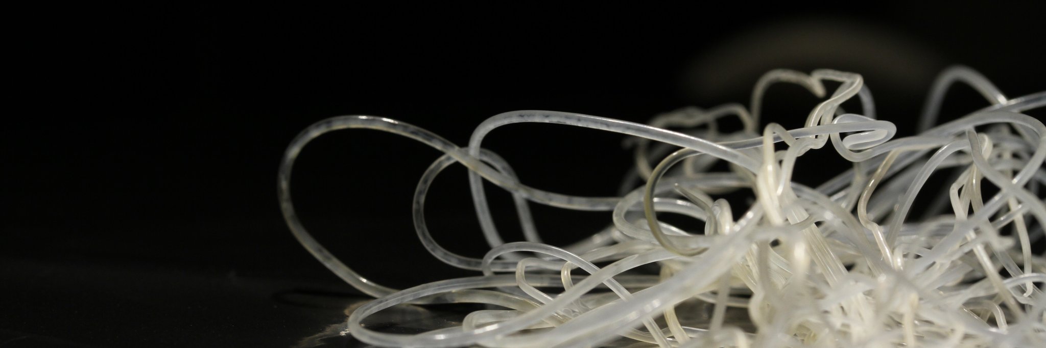 Heartworm Society banner