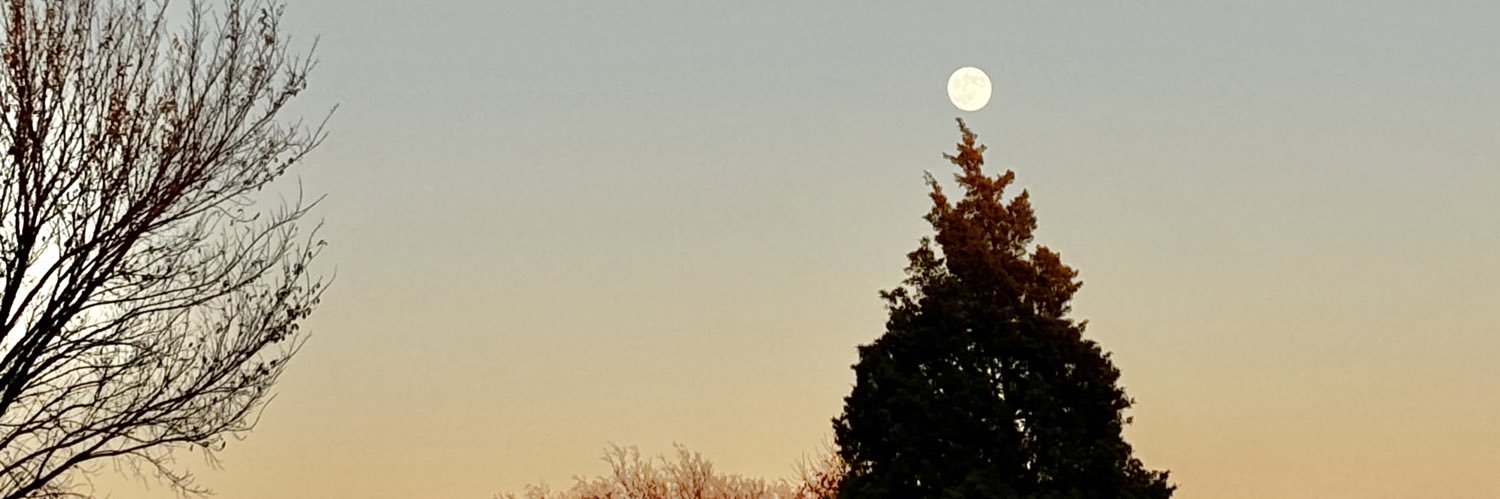d_craw8098's profile banner image